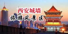 女子的逼网站中国陕西-西安城墙旅游风景区